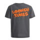 GREY T-SHIRT LOONEY TUNES